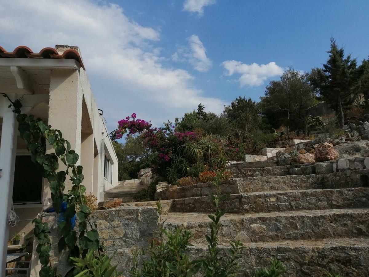 Artemis Villa Near Athens Airport Μαρκόπουλο Εξωτερικό φωτογραφία