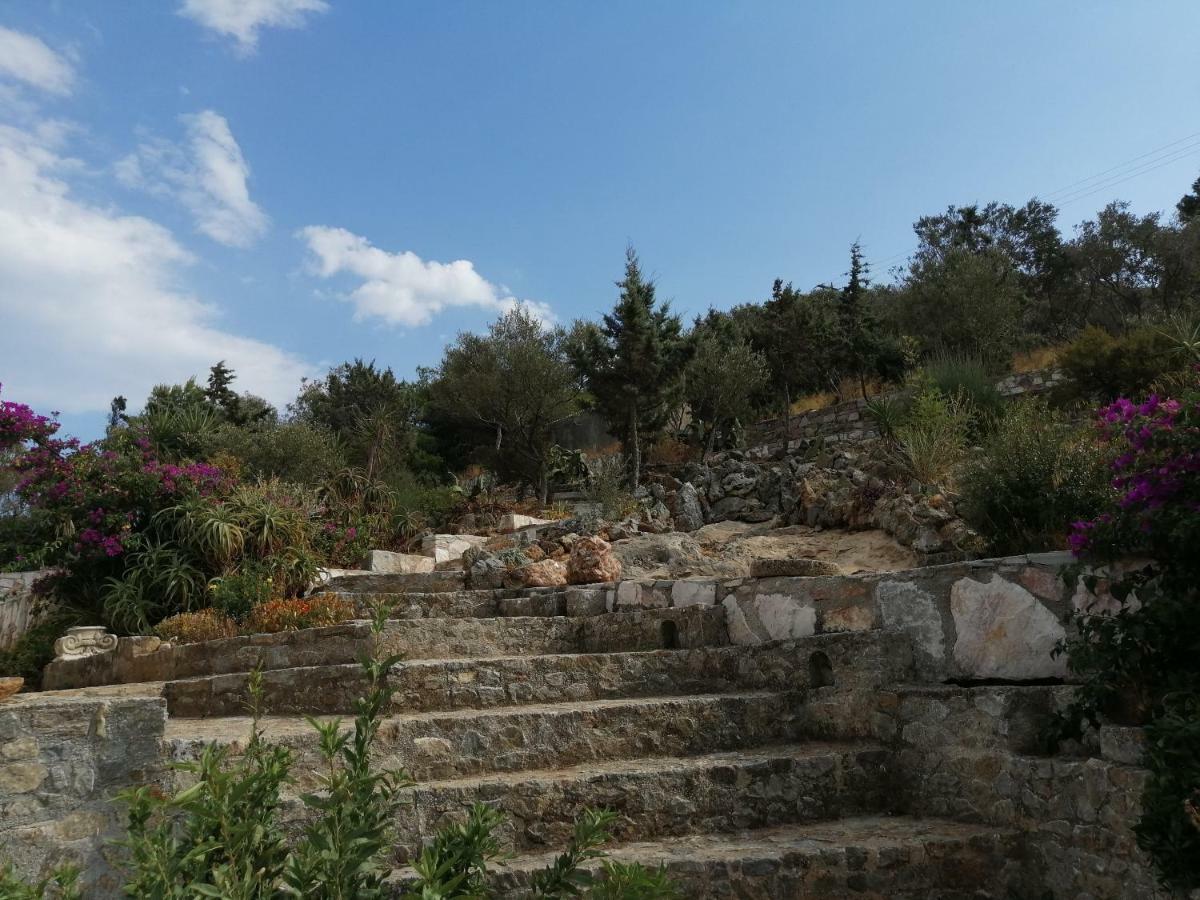 Artemis Villa Near Athens Airport Μαρκόπουλο Εξωτερικό φωτογραφία