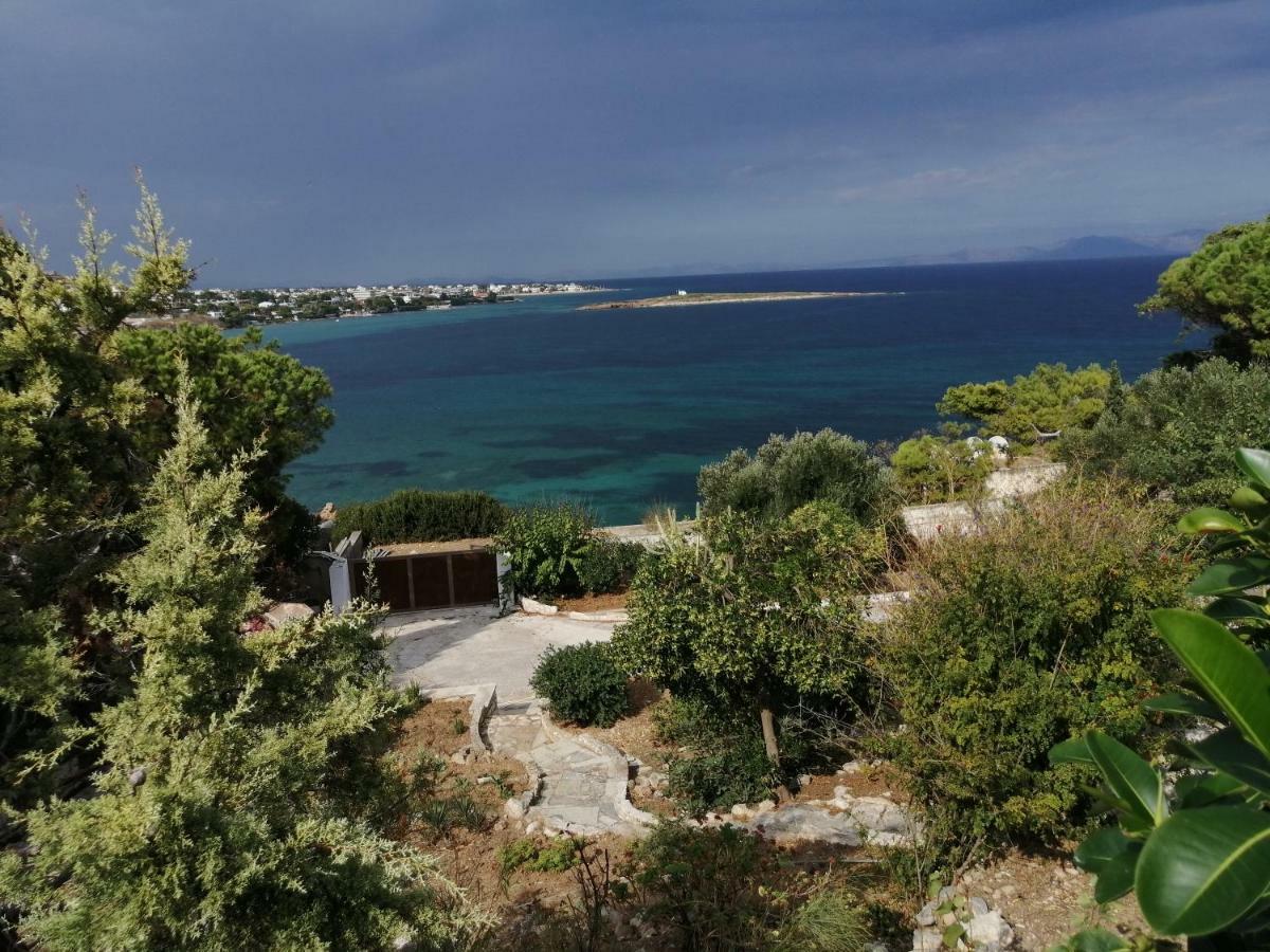 Artemis Villa Near Athens Airport Μαρκόπουλο Εξωτερικό φωτογραφία